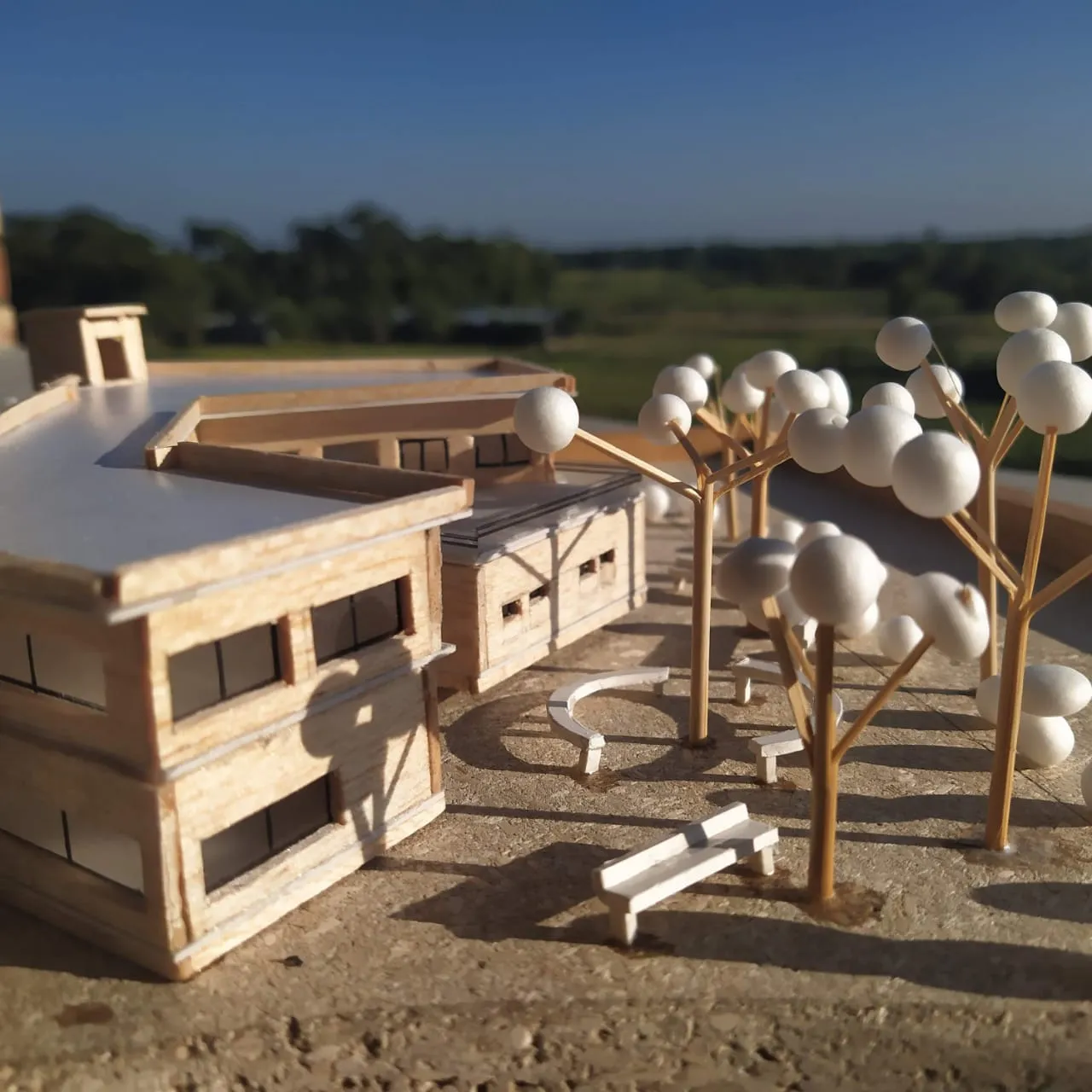 Study Model 03